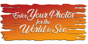 Worldwide Photo Contest.